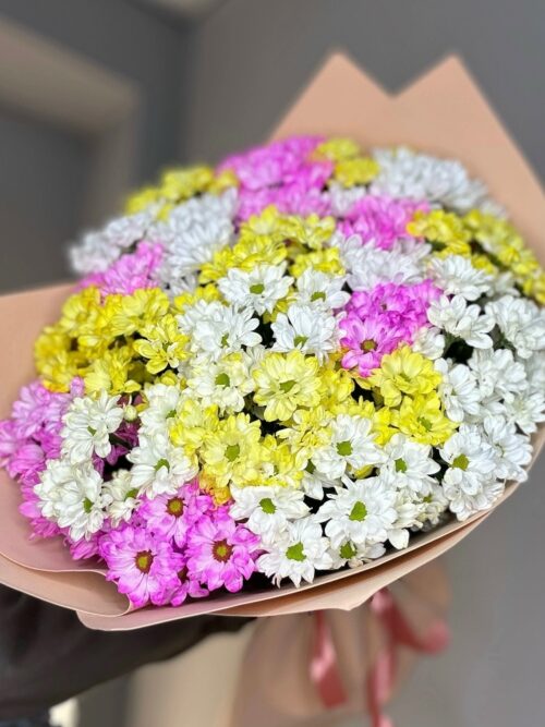 Ромашковый гигант🌸🌸🌸
