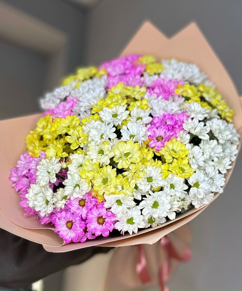 Ромашковый гигант🌸🌸🌸