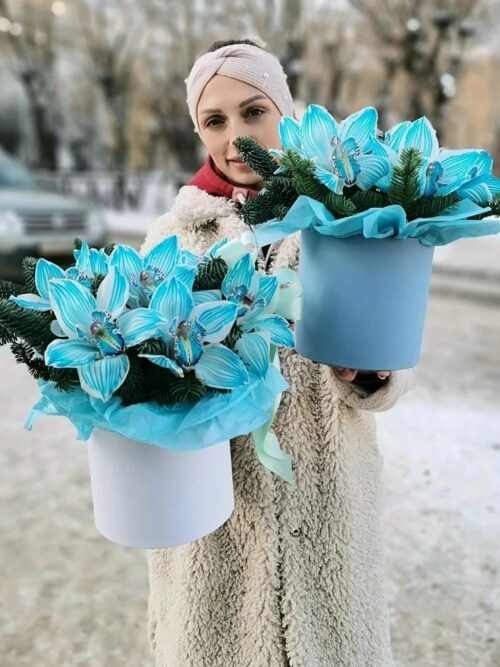 Голубые, небесные орхидеи
